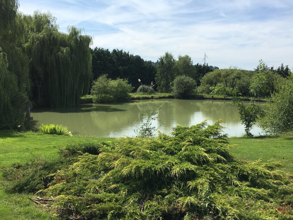 Gites - Domaine De Geffosse Pont-Évêque Exteriér fotografie